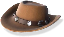 Cowboy Hat